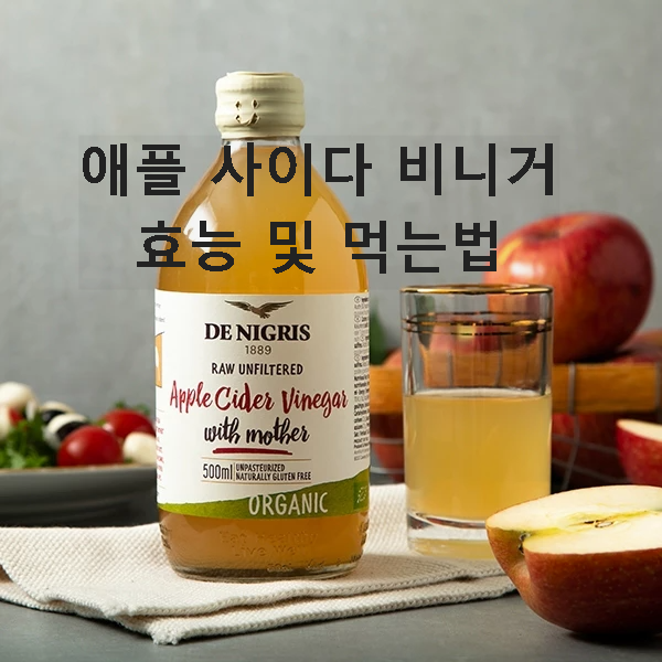 애플 사이다 비니거 효능 먹는법