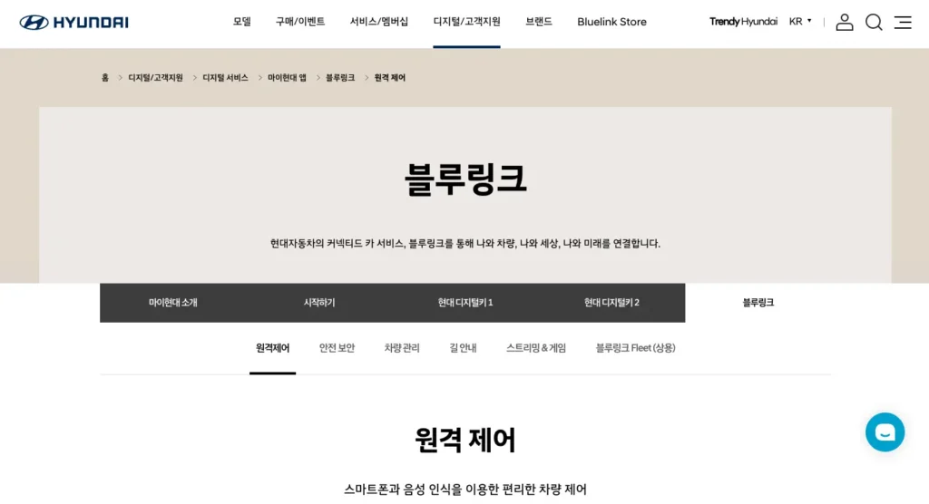 현대 블루링크 홈페이지