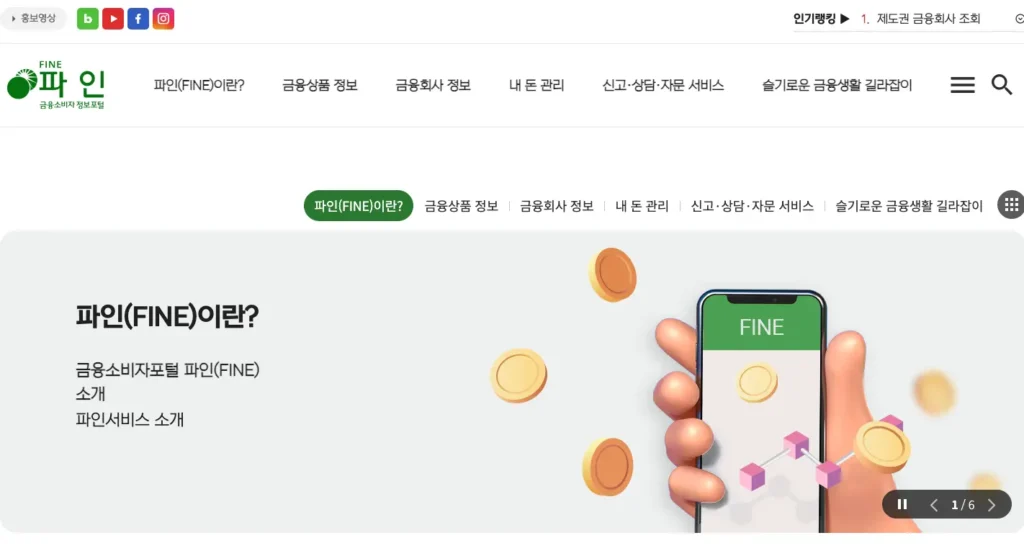 금융소비자포털 파인 홈페이지
